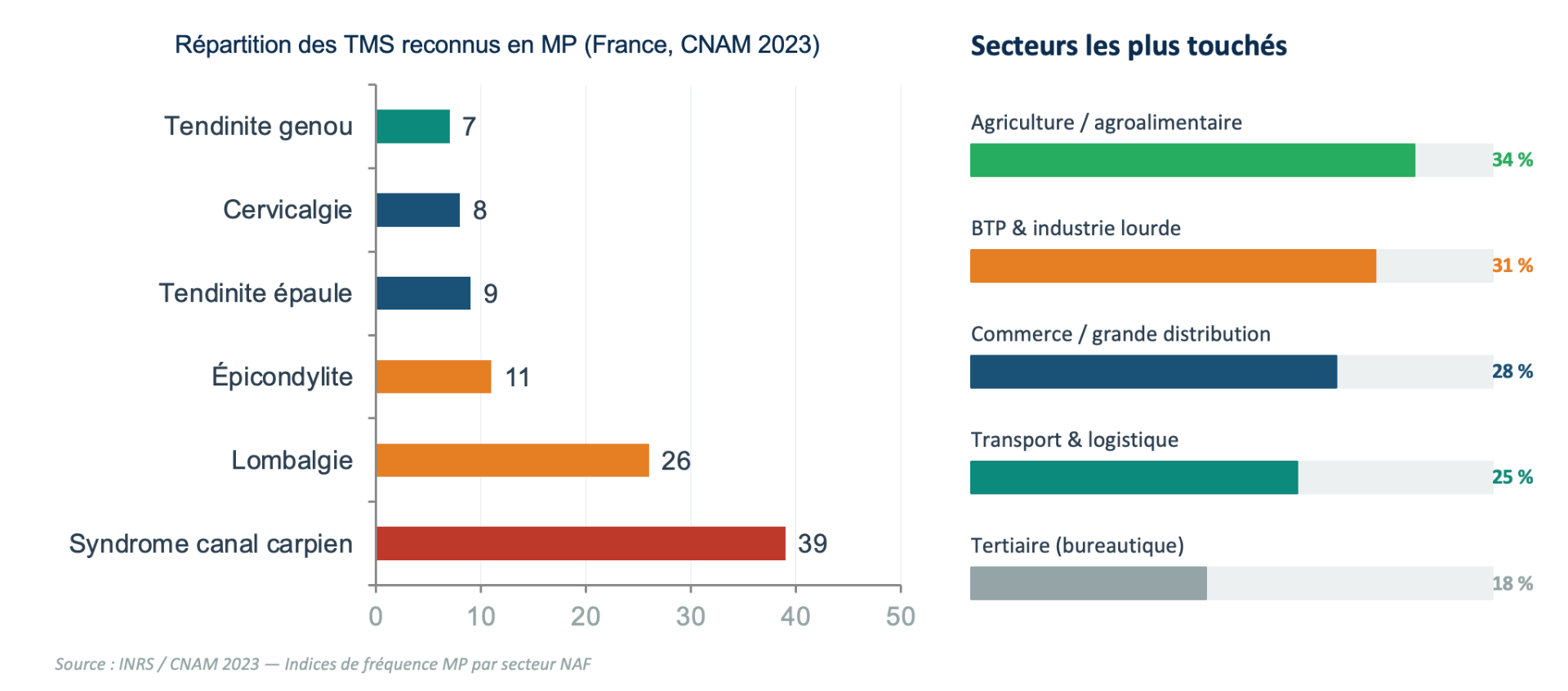 Pathologies TMS les plus fréquentes en entreprises